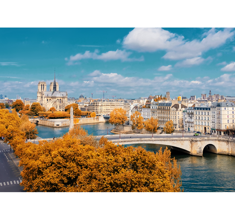 Tapisserie paris vue d'automne sur notre dame - TenStickers