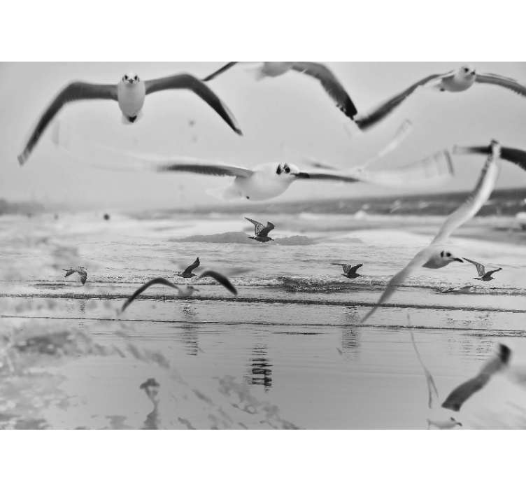 Tapisserie animaux mouettes sur l'océan - TenStickers