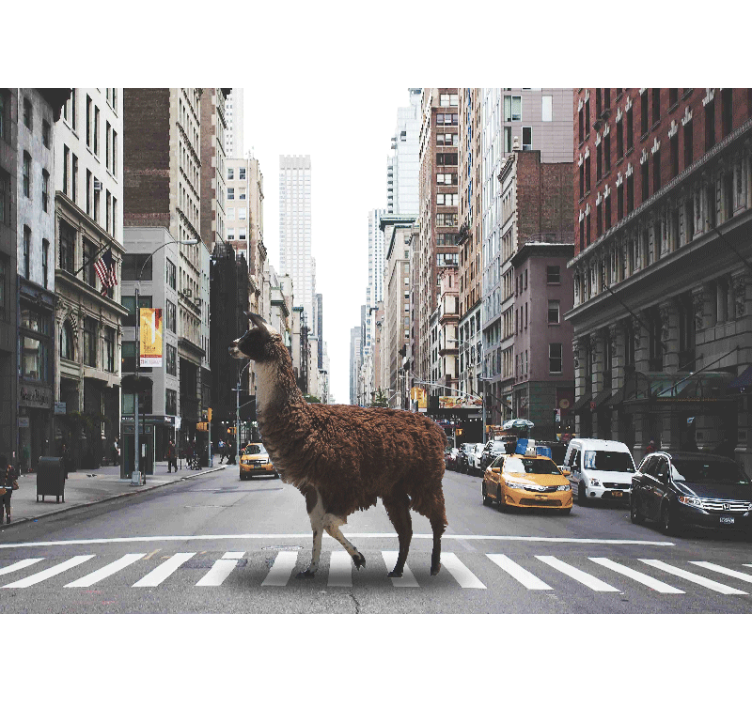 Tapisserie animaux llama dans la rue - TenStickers