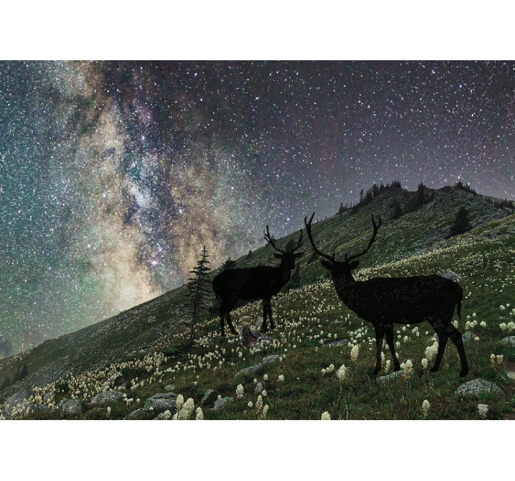Tapisserie forêt cerfs de la nuit étoilée - TenStickers
