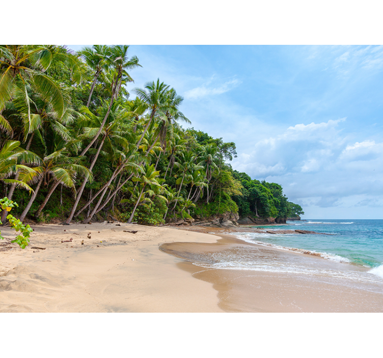 Tapisserie nature oasis de plage tropicale - TenStickers