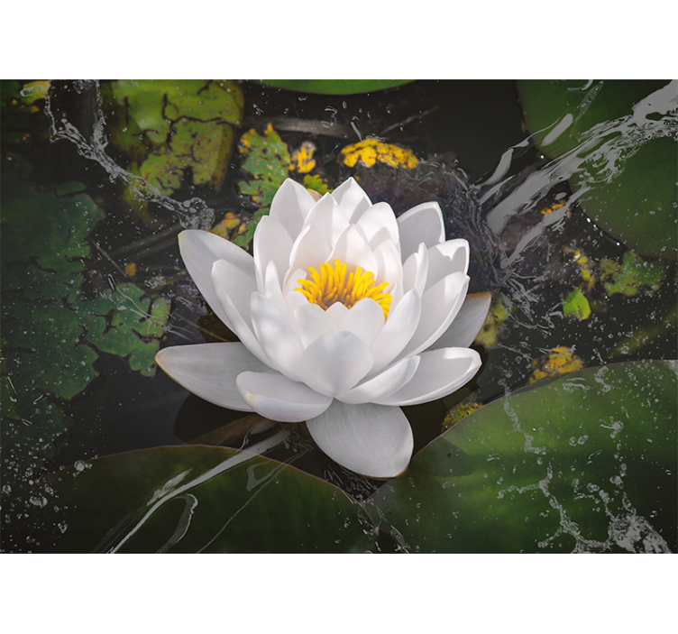 Tapisserie fleur sérénité de fleurs de lotus - TenStickers