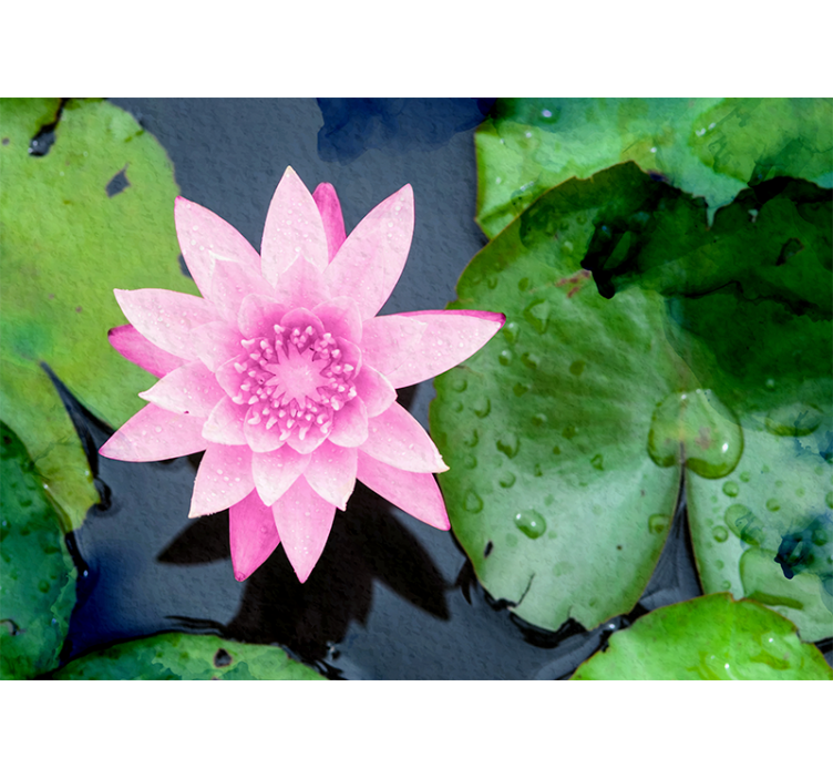 Tapisserie fleur fleur de lotus rose - TenStickers