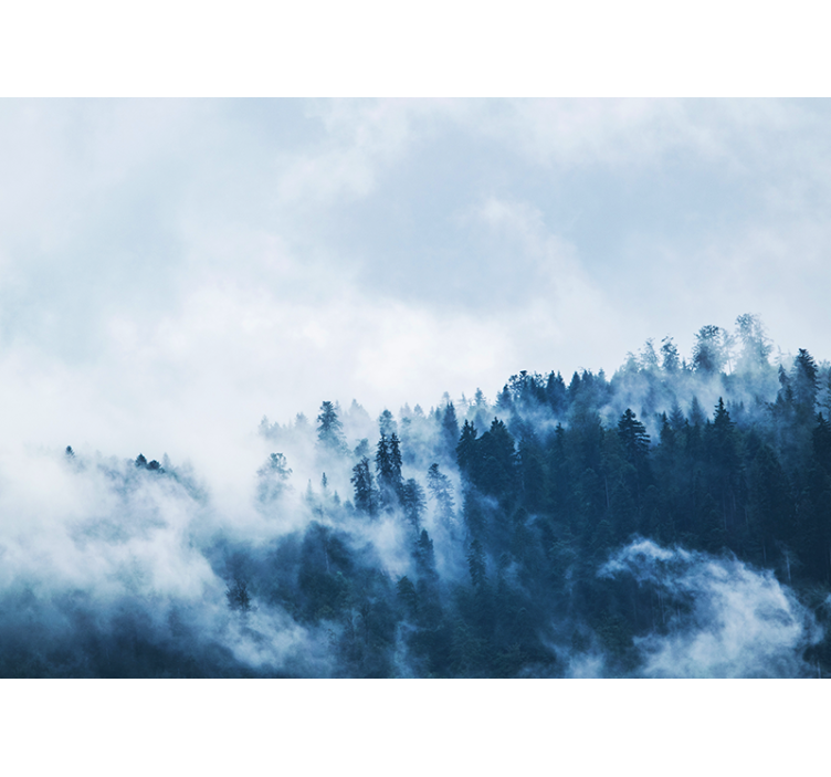 Tapisserie nature paysage brumeux de forêt - TenStickers