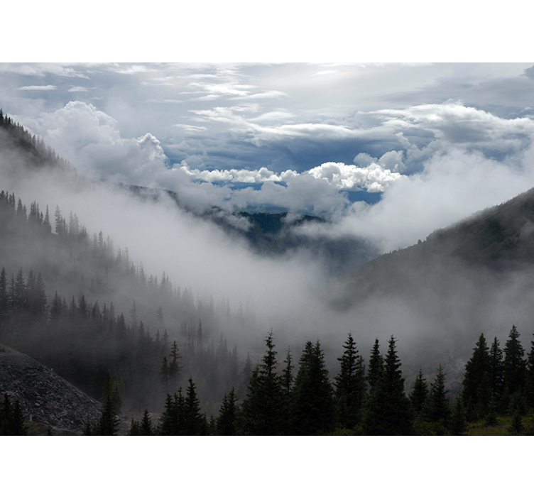 Tapisserie paysage scène forestière embrumée - TenStickers