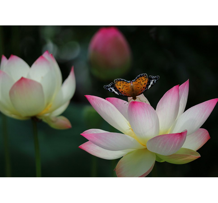 Tapisserie fleur lotus Élégant - TenStickers