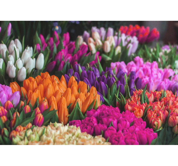 Tapisserie fleur jardin de tulipes - TenStickers