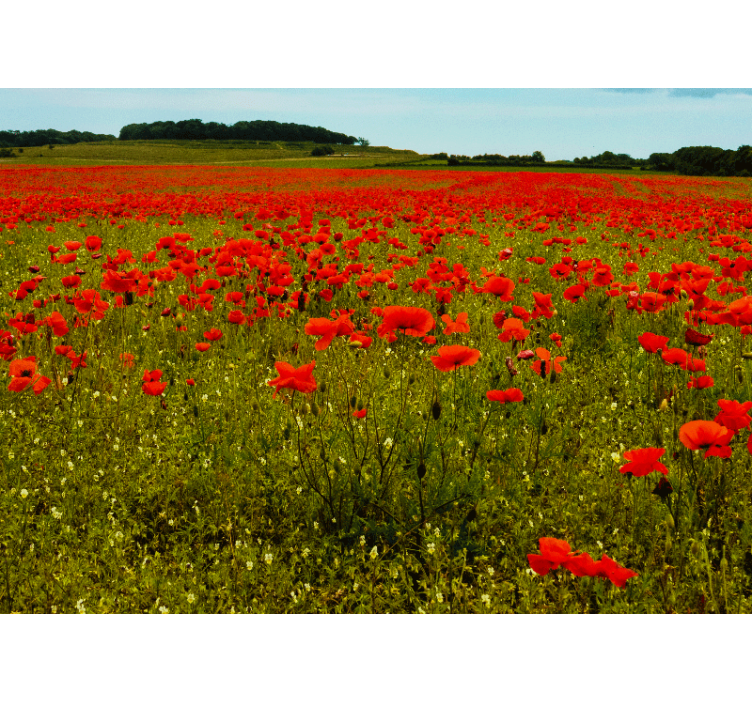 Tapisserie coquelicots champ de coquelicots vibrant - TenStickers