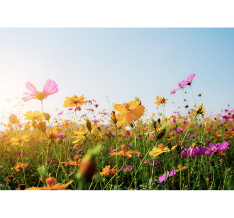 Tapisserie fleur épanouie et colorée - TenStickers