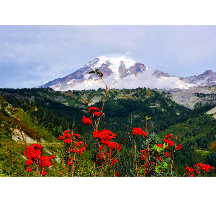 Tapisserie paysage montagne enneigée - TenStickers