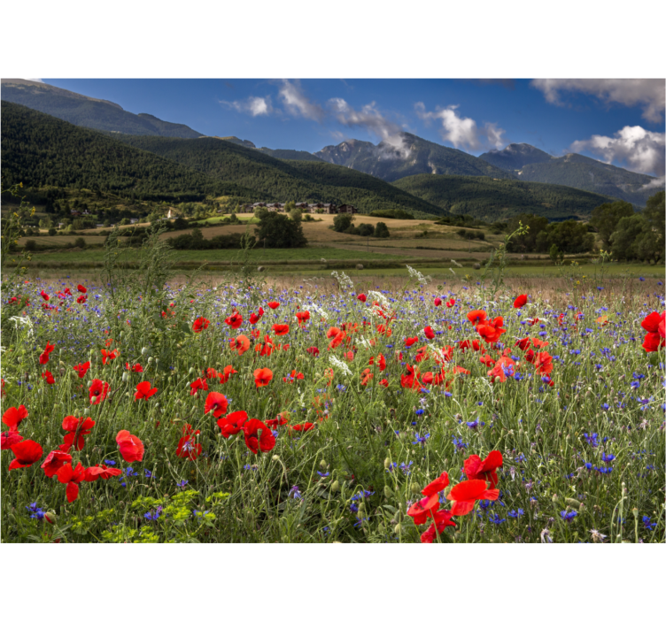 Tapisserie fleur vue de prairie de coquelicots - TenStickers