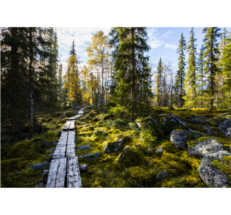 Tapisserie nature chemin forestier paisible - TenStickers