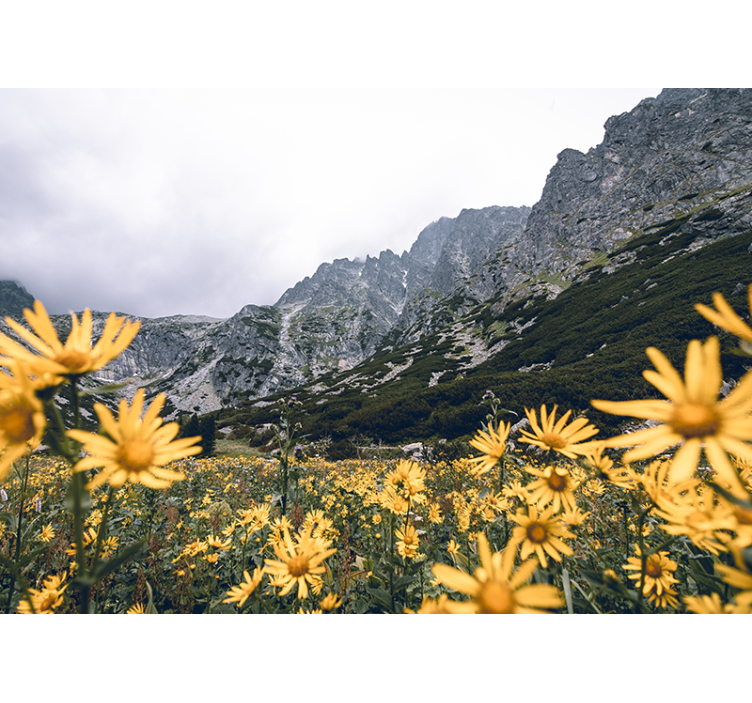 Tapisserie fleur prairie de fleurs jaunes - TenStickers