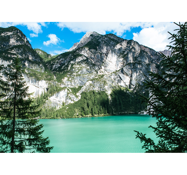 Tapisserie paysage panorama de grandes montagnes - TenStickers