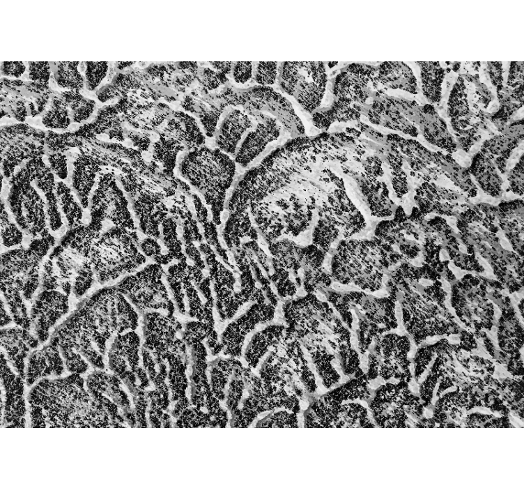 Tapisserie textures et motifs motif texture organique - TenStickers