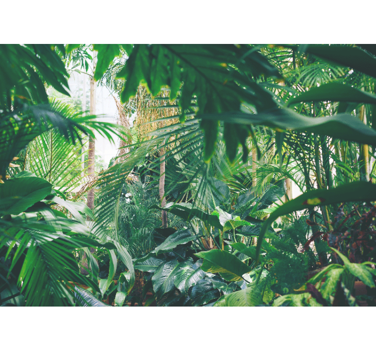 Tapisserie jungle oasis tropical luxuriant - TenStickers