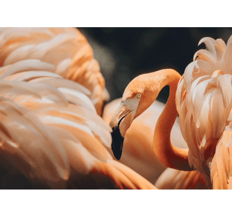 Tapisserie autres animaux scène de flamant Élégant - TenStickers