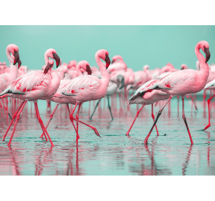 Tapisserie animaux flamants roses en promenade - TenStickers