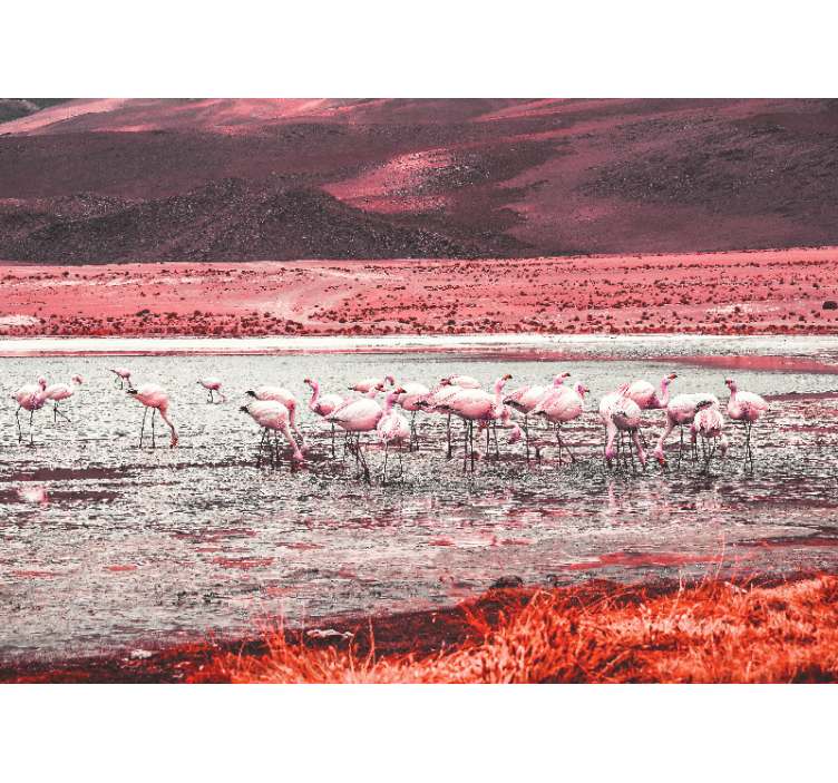 Tapisserie autres animaux scène d'habitat de flamants - TenStickers