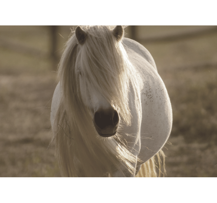 Tapisserie autres animaux cheval blanc royal - TenStickers