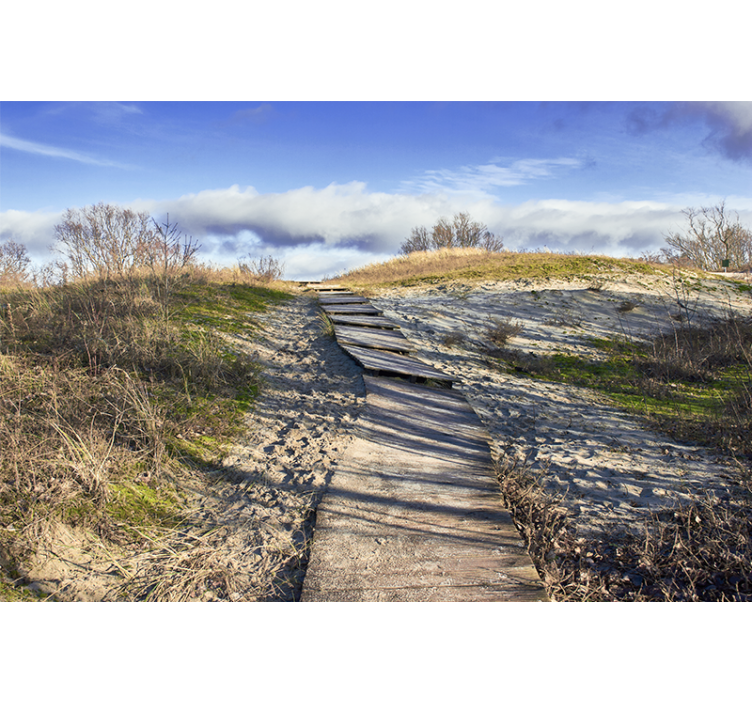 Tapisserie paysage chemin en bois - TenStickers