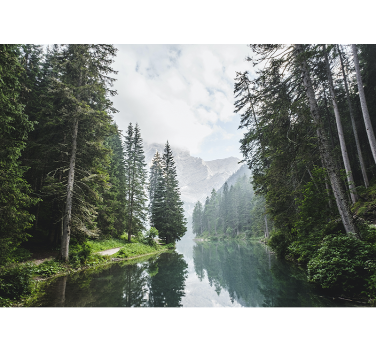 Tapisserie paysage Écho de la forêt paisible - TenStickers