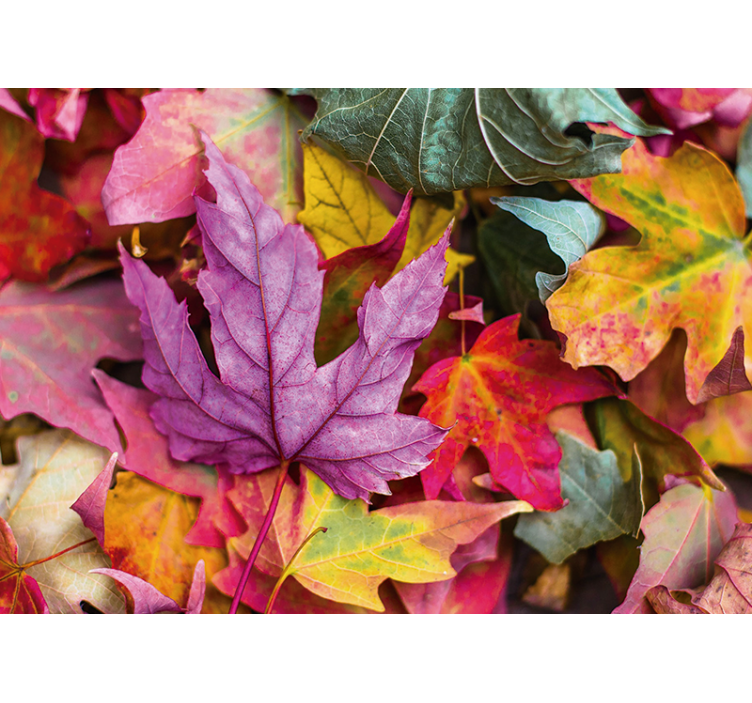 Tapisserie fleur motifs de feuilles colorées - TenStickers