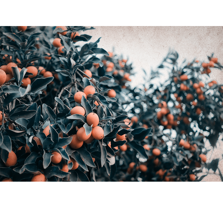 Tapisserie fleur branche de fruits agrumes - TenStickers