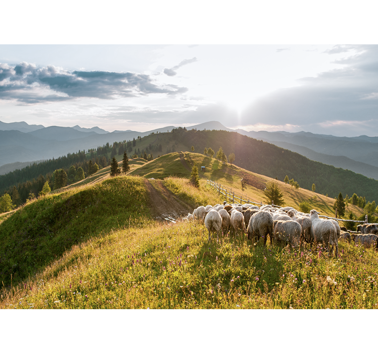 Tapisserie paysage moutons sur la colline - TenStickers
