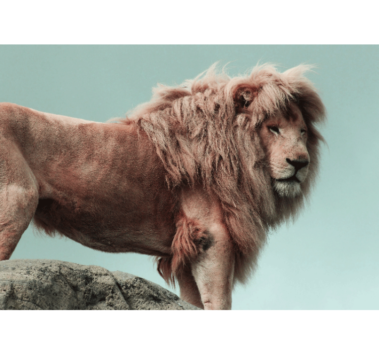 Tapisserie lion posture majestueuse - TenStickers