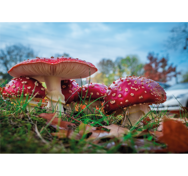 Tapisserie nature champignons rouges en bouquet - TenStickers