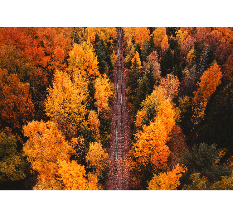 Tapisserie paysage sentier boisé d'automne - TenStickers