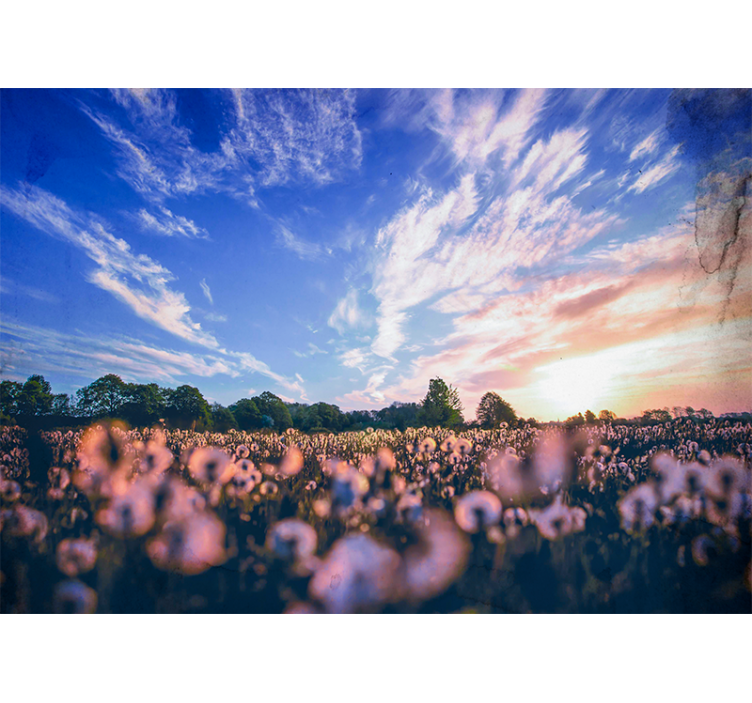 Tapisserie fleur champ de pissenlit sérénité - TenStickers