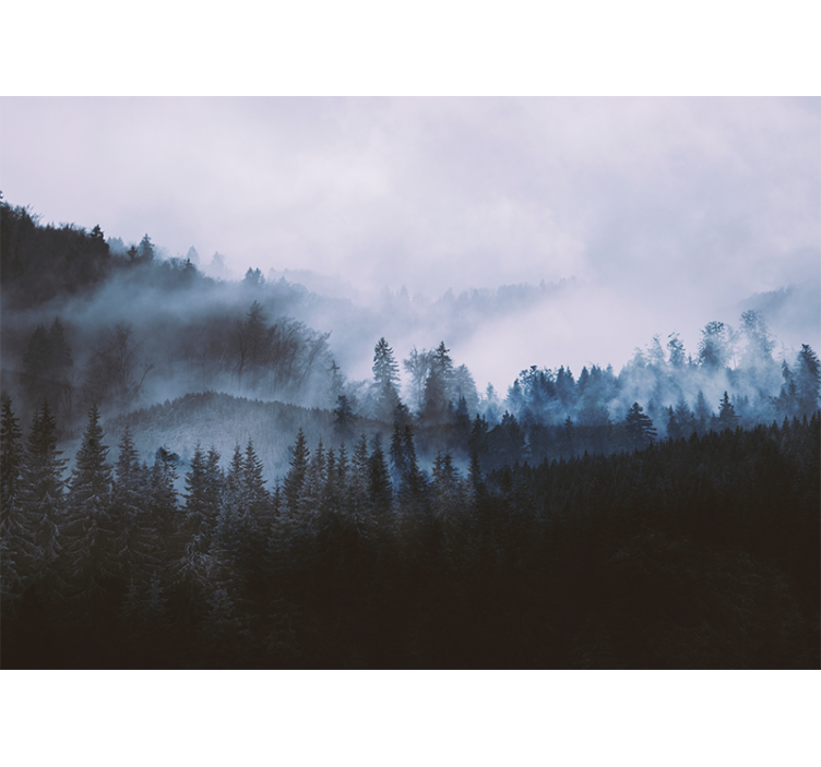 Tapisserie forêt paysage de conifères brumeux - TenStickers
