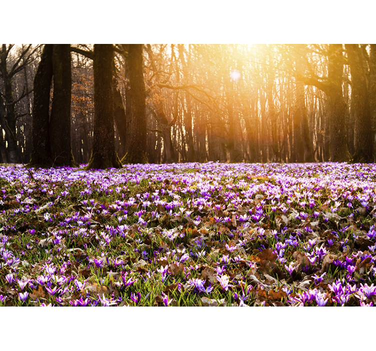 Papier peint mural de fleurs Beau paysage de crocus violet - TenStickers