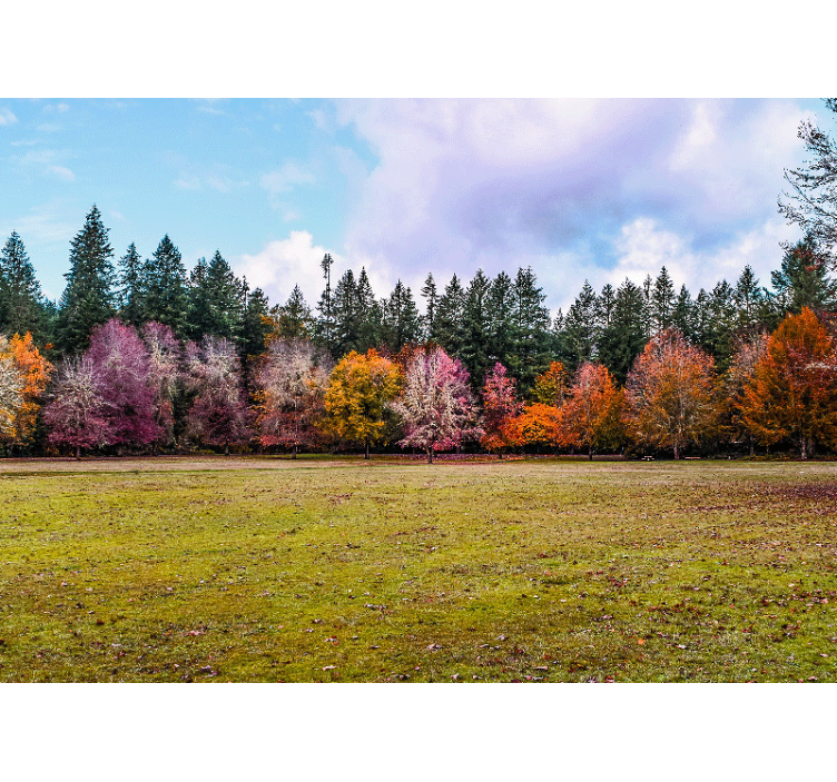 Tapisserie nature forêt d'automne colorée - TenStickers