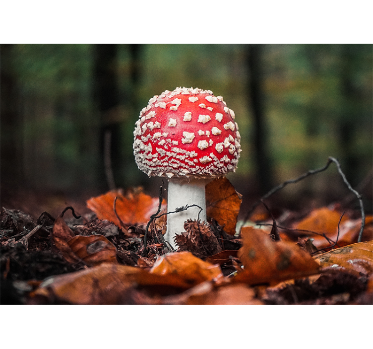 Tapisserie nature champignon rouge à pois - TenStickers