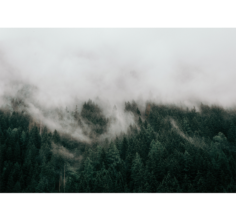 Papier peint mural arbres Nuages brumeux de forêt - TenStickers
