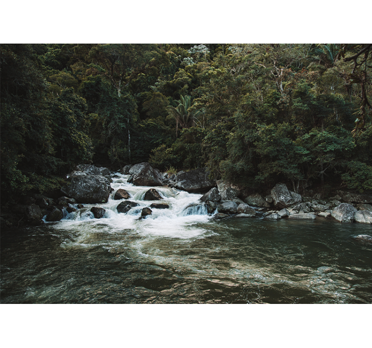 Tapisserie nature scène de rivière sereine - TenStickers