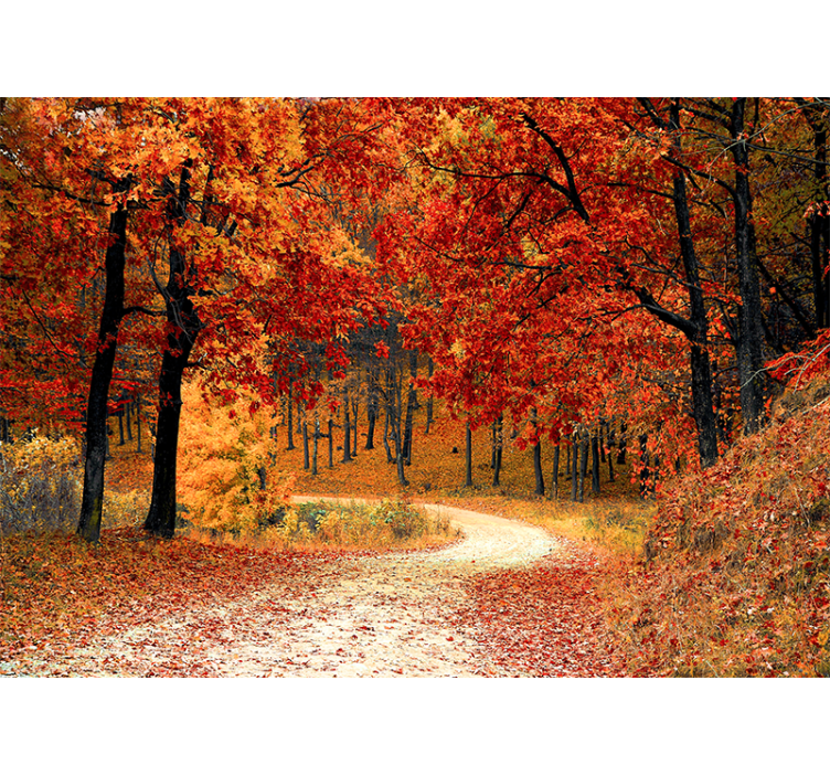 Tapisserie nature chemin forestier d'automne - TenStickers