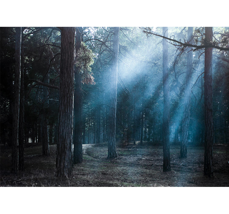 Tapisserie forêt chemin brumeux et brumeux - TenStickers