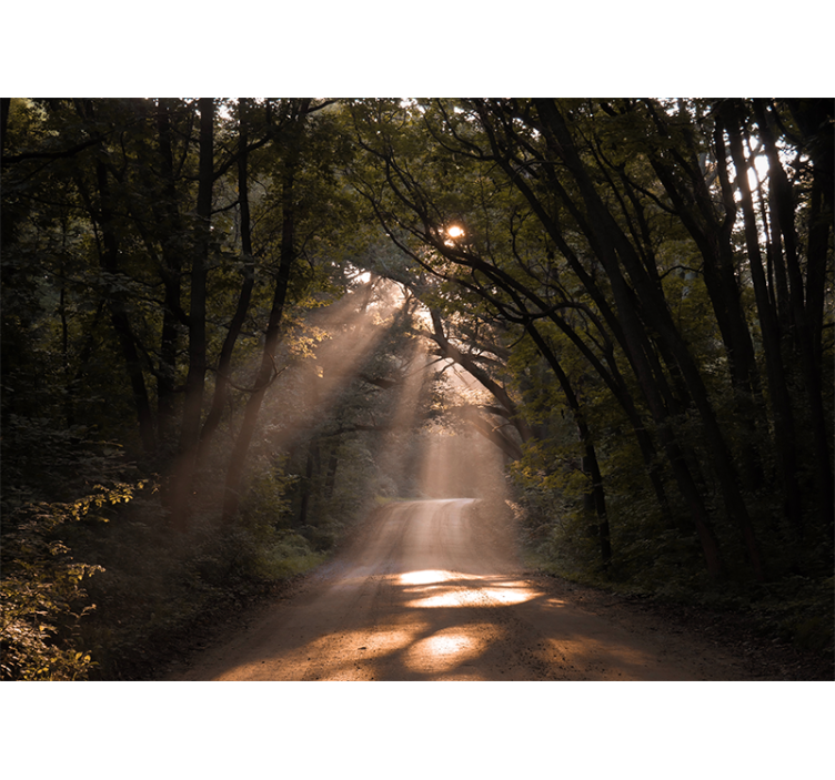 Tapisserie nature sentier forestier radieux - TenStickers