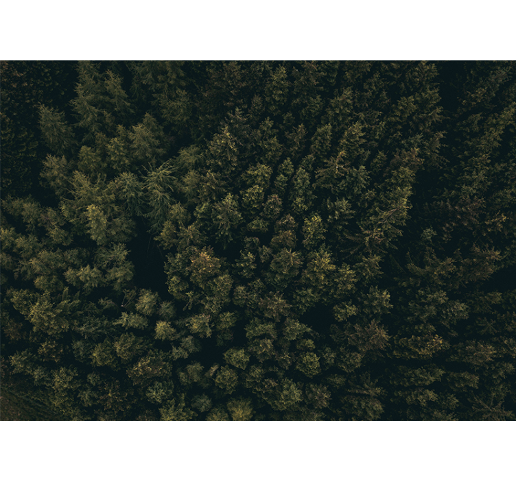 Tapisserie nature canopée de feuillage luxuriant - TenStickers