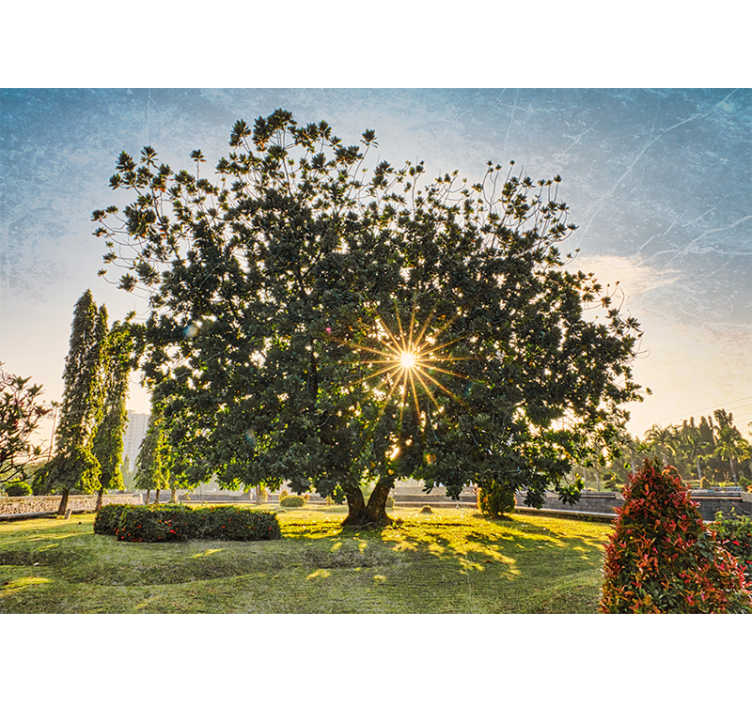 Tapisserie nature vue ensoleillée sur les arbres - TenStickers