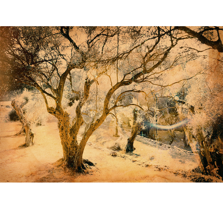 Tapisserie forêt des oliviers dorés - TenStickers