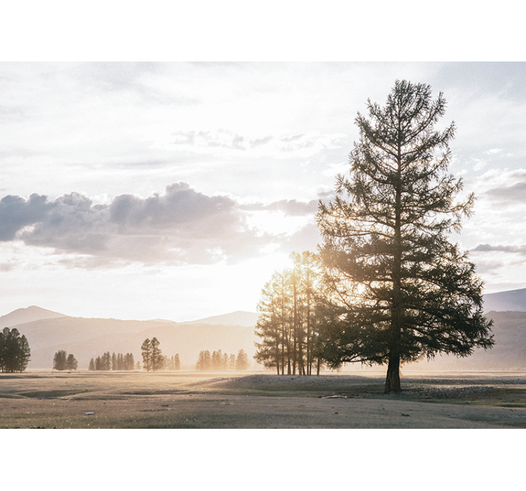 Tapisserie nature silhouette de pin serein - TenStickers