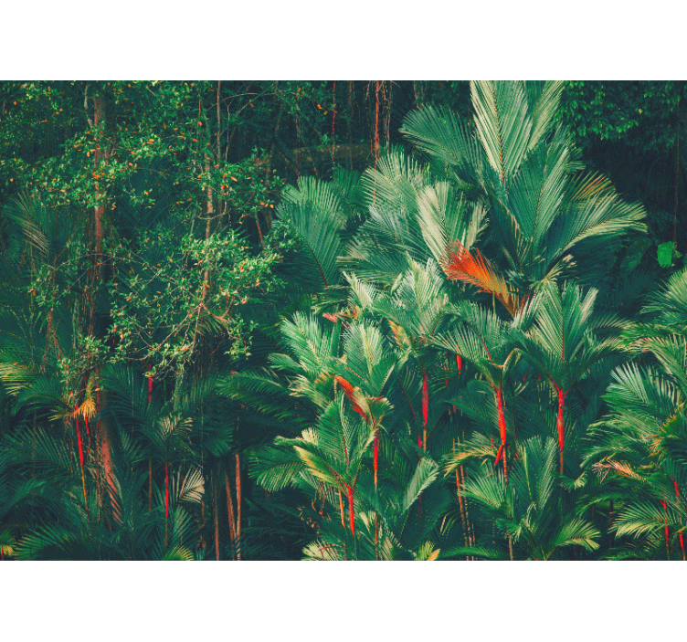 Tapisserie jungle collection palmiers tropicaux - TenStickers