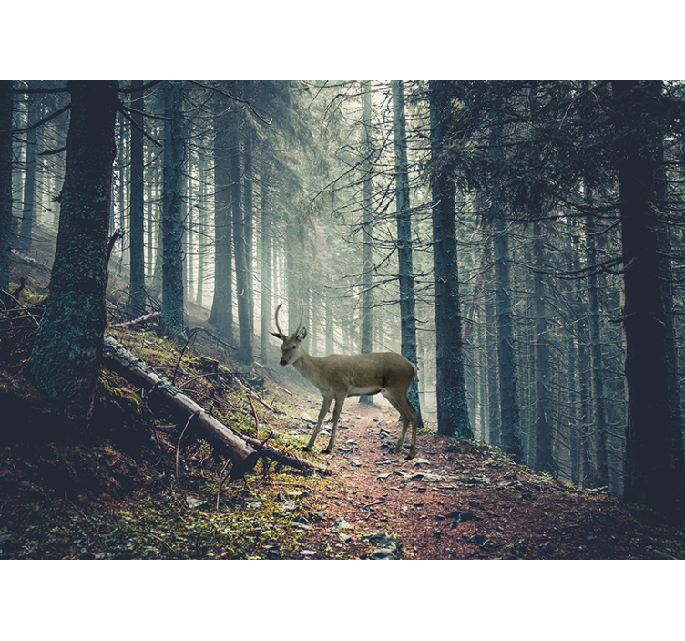 Tapisserie forêt cerf en milieu boisé - TenStickers