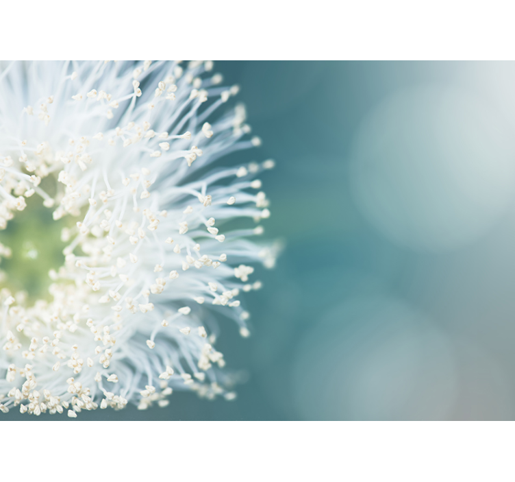 Tapisserie murale graines de pissenlit - TenStickers