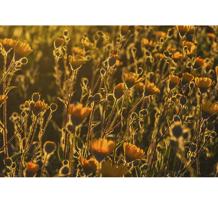 Tapisserie fleur flore en fleurs dorées - TenStickers